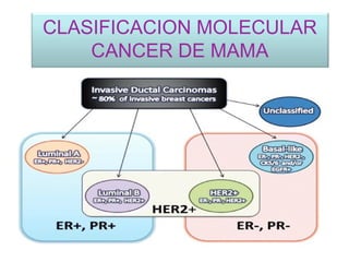 CLASIFICACION MOLECULAR
CANCER DE MAMA
 