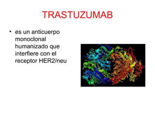 TRASTUZUMAB
• es un anticuerpo
monoclonal
humanizado que
interfiere con el
receptor HER2/neu
 