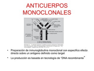 ANTICUERPOS
MONOCLONALES
• Preparación de inmunoglobulina monoclonal con especifico efecto
directo sobre un antigeno definido como target
• La producción es basada en tecnología de “DNA recombinante”
 