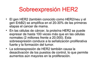 Sobreexpresión HER2
• El gen HER2 (también conocido como HER2/neu y el
gen ErbB2) se amplifica en el 20-30% de las primeras
etapas el cancer de mama.
• En las células de cáncer, la proteína HER2 se puede
expresar de hasta 100 veces más que en las células
normales (2 millones frente a 20.000). Esta
sobreexpresión conduce a la señalización proliferativa
fuerte y la formación del tumor.
• La sobreexpresión de HER2 también causa la
desactivación de los puestos de control, lo que permite
aumentos aún mayores en la proliferación.
 