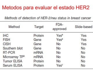 Metodos para evaluar el estado HER2
 
