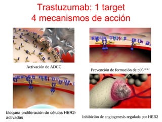 Trastuzumab: 1 target
4 mecanismos de acción
Prevención de formación de p95HER2
Inhibition of cell proliferation
Activación de ADCC
Inhibición de angiogenesis regulada por HER2
bloquea proliferación de células HER2-
activadas
 
