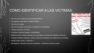 COMO IDENTIFICAR A LAS VICTIMAS:
• Servicios de prostitución y de acompañamiento;
• Pornografía, desnudismo o bailes exóticos;
• Centros de masaje;
• Servicios sexuales promovidos en Internet o en periódicos;
• Trabajo agrícola o en fincas;
• Trabajos en fábricas legales o clandestinas;
• Negocios como hoteles, salones de manicuristas o servicios de limpieza a domicilio;
• Trabajo doméstico (limpieza, niñeras, atención a ancianos, etc. dentro de una vivienda);
• Restaurantes, bares, o cantinas; o
• Mendigando, haciendo comercio ambulante, o ventas de puerta en puerta.
 