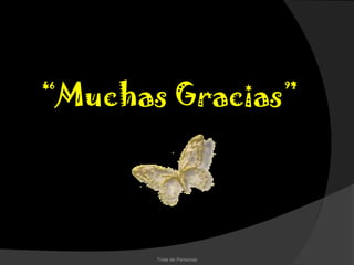 “Muchas Gracias”




       Trata de Personas
 
