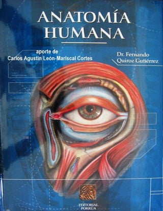 Tratado anatomia humana   f. quiroz - tomo1