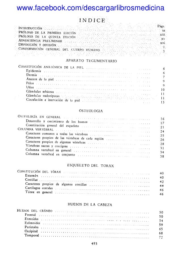 Anatomia Humana Quiroz Pdf Gratis