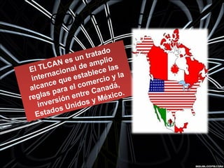 CONTENIDO
El TLCAN es un tratado
internacional de amplio
alcance que establece las
reglas para el comercio y la
inversión entre Canadá,
Estados Unidos y México.
El TLCAN es un tratado
internacional de amplio
alcance que establece las
reglas para el comercio y la
inversión entre Canadá,
Estados Unidos y México.
 