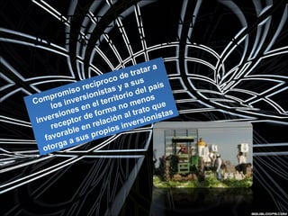 PROTECCION A LA
INVERSION EXTRANJERA
Compromiso recíproco de tratar a
los inversionistas y a sus
inversiones en el territorio del país
receptor de forma no menos
favorable en relación al trato que
otorga a sus propios inversionistas
Compromiso recíproco de tratar a
los inversionistas y a sus
inversiones en el territorio del país
receptor de forma no menos
favorable en relación al trato que
otorga a sus propios inversionistas
 