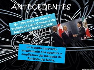 ANTECEDENTES
En 1994 entró en vigor el
Tratado de Libre Comercio de
América del Norte (TLCAN).
un tratado innovadorencaminado a la apertura yampliación del mercado deAmérica del Norte.
un tratado innovadorencaminado a la apertura yampliación del mercado deAmérica del Norte.
 
