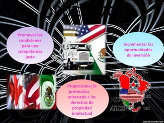 OBJETIVOS
Promover las
condiciones
para una
competencia
justa
Promover las
condiciones
para una
competencia
justa
Incrementar las
oportunidades
de inversión
Incrementar las
oportunidades
de inversión
Proporcionar la
protección
adecuada a los
derechos de
propiedad
intelectual
Proporcionar la
protección
adecuada a los
derechos de
propiedad
intelectual
 