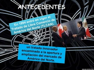 Tratado De Libre Comercio De AméRica Del Norte | PPT