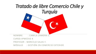 Tratado de libre Comercio Chile y
Turquía
NOMBRE : CAMILA ZAMORA C.
CURSO:4ºMEDIO A
PROFESOR : MARCELO SALAS F.
MÓDULO : GESTIÓN EN COMERCIO EXTERIOR
 