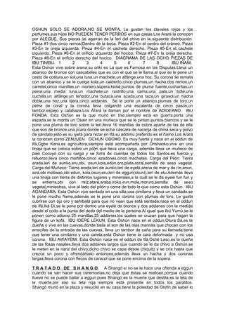 OSHUN SOLO SE ADORA,NO SE MONTA. Le gustan los claveles rojos y los
perfumes,sus hijos NO PUEDEN TENER PERROS en sus casas.Los Arará la conocen
por ALEGUE. Sus piezas se agarran de la lerí del chivo en la siguiente distribución:
Pieza #1-(los cinco remos)Dentro de la boca. Pieza #2-En el centro del cráneo. Pieza
#3-En la oreja izquierda. Pieza #4-En el cachete derecho. Pieza #5-En el cachete
izquierdo. Pieza #6-En el orificio izquierdo del hocico. Pieza #7-En la oreja derecha.
Pieza #8-En el orificio derecho del hocico. DIAGRAMA DE LAS OCHO PIEZAS DE
IBU TINIBU. 1 2 3 4 5 6 7 8 IBU IÑAÑI.
Esta Oshún vive sobre arena,su orikí es La que es Famosa en las Disputas.Lleva un
abanico de bronce con cascabeles que es con el que se le llama,al que se le pone un
cesto de costura,un sol,una luna,un machete,un alfánge,una hoz. Su corona se remata
con un abanico y se le cuelga kola,un calderito,cinco plumas,un hacha,dos remos,un
carretel,cinco manillas,un mortero,sopera,kinké,puntos de pluma fuente,cucharitas,un
peine,una media luna,un machete,un rastrillo,una cama,una pala,un bote,una
cuchilla,un alfánge,un tenedor,una butaca,una azada,una taza,un girasol,un hacha
doble,una hoz,una tijera,cinco addanes. Se le pone un abanico,plumas de loro,un
peine de coral y la corona lleva colgando una escalerita de cinco pasos,un
tambor,espejo y calabaza.Los Arará la llaman por el nombre de ADIGEANO. IBU
FONDA. Esta Oshún es la que murió en Inle,siempre está en guerra,porta una
espada,se le monta un Osain en una muñeca que se le pintan puntos blancos y se le
pone una pluma de loro sobre la lerí,lleva 16 manillas de cobre aparte de las de ella
que son de bronce,una jícara donde se echa cáscara de naranja de china seca y polvo
de sándalo,esto es su iyefá para rezar en Ifá,su addimú preferido es el ñame.Los Arará
la conocen como ZENJUEN. OCHUN ODOKO. Es muy fuerte y nace en el oddun de
Ifá,Ogbe Kana,es agricultora,siempre está acompañada por Orishaoko,vive en una
tinaja que se coloca sobre un pilón que lleva una carga, además lleva un muñeco de
palo Cocuyo con su carga y se forra de cuentas de todos los Santos,es fuerza y
refuerzo,lleva cinco martillos,cinco azadones,cinco machetes. Carga del Pilón: Tierra
arada,lerí de aunko,eru,obi, osun,kola,edún,oro,plata,coral,semilla de seso vegetal.
Carga del Muñeco: Tierra arada,lerí de aunko,lerí de eyelé,arena de mar y de río,anun,
airá,obi motiwao,obi edun, kola,osun,eru,lerí de eggun(okuní),lerí de etu.Además lleva
una tinaja con tierra de distintos lugares y minerales,a la cuál se le da eyelé fun fun y
se entierra,obi con raíz,ataré,araba,iroko,irun,mole,moruro,semilla de seso
vegetal,miniestras, vive al lado del pilón y come de todo lo que come esta Oshún. IBU
AGANDARA. Esta Oshún vive sentada en una silla,usa cimitarra y lleva un candado,se
le pone mucho ñame,además se le pone una corona con plumas de loro. Le gusta
cubrirse con ojú oro y ashibatá para que no vean que está sentada,nace en el oddun
de Ifá,Iká Dí,se le pone por dentro una eyelé de bronce y dos addanes con la medida
desde el codo a la punta del dedo del medio de la persona.Al igual que Ibú Yumú,se le
ponen como adorno 25 manillas,25 addanes,los cuales se cruzan para que hagan la
figura de un kofá. IBU IDERE LEKUN. Esta Oshún nace en el oddun,Otura Sá,es la
dueña o vive en las cuevas,donde baila al son de las olas marinas que chocan con los
arrecifes de la entrada de las cuevas, lleva un tambor de caña para su llamada,tiene
que tener una cimitarra y una careta,esta Oshún tiene la cara deformada y no usa
corona. IBU AWAYEMI. Esta Oshún nace en el oddun de Ifá,Oshé Laso,es la dueña
de las fosas nasales,lleva dos addanes largos que cuando se le da chivo a Oshún,se
le meten en la nariz del chivo,dicho chivo se capa desde chiquito y se cría hasta que
crezca un poco y ofrendárselo entonces,además lleva un hacha y dos coronas
largas,lleva corona con flecos de caracol que se pone encima de la sopera.
T R A T A D O DE S H A N G O. A Shangó si no se le hace una ofrenda a eggun
cuando se van hacer sus ceremonias,no deja que éstas se realicen,porque cuando
llueve no se puede bailar a eggun,pues Shangó es la muerte que destila,es la tela de
la muerte,por eso su tela roja siempre está presente en todos los paraldos.
Shangó murió en la plaza y resucitó en su casa,tiene la potestad de Olofin de saber lo
 