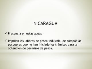 NICARAGUA 
 Presencia en estas aguas 
 Impiden las labores de pesca industrial de compañías 
pesqueras que no han iniciado los trámites para la 
obtención de permisos de pesca. 
 
