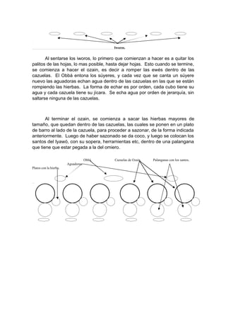 Iworos.
Al sentarse los iworos, lo primero que comienzan a hacer es a quitar los
palitos de las hojas, lo mas posible, hasta dejar hojas. Esto cuando se termine,
se comienza a hacer el ozain, es decir a romper las ewés dentro de las
cazuelas. El Obbá entona los súyeres, y cada vez que se canta un súyere
nuevo las aguadoras echan agua dentro de las cazuelas en las que se están
rompiendo las hierbas. La forma de echar es por orden, cada cubo tiene su
agua y cada cazuela tiene su jícara. Se echa agua por orden de jerarquía, sin
saltarse ninguna de las cazuelas.
Al terminar el ozain, se comienza a sacar las hierbas mayores de
tamaño, que quedan dentro de las cazuelas, las cuales se ponen en un plato
de barro al lado de la cazuela, para proceder a sazonar, de la forma indicada
anteriormente. Luego de haber sazonado se da coco, y luego se colocan los
santos del Iyawó, con su sopera, herramientas etc, dentro de una palangana
que tiene que estar pegada a la del omiero.
Obbá. Cazuelas de Ozain. Palanganas con los santos.
Aguadoras.
Platos con la hierba.
 