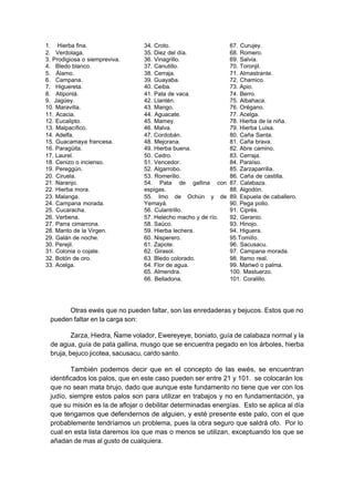 1. Hierba fina.
2. Verdolaga.
3. Prodigiosa o siempreviva.
4. Bledo blanco.
5. Álamo.
6. Campana.
7. Higuereta.
8. Atiponlá.
9. Jagüey.
10. Maravilla.
11. Acacia.
12. Eucalipto.
13. Malpacífico.
14. Adelfa.
15. Guacamaya francesa.
16. Paragüita.
17. Laurel.
18. Cenizo o incienso.
19. Pereggún.
20. Ciruela.
21. Naranjo.
22. Hierba mora.
23. Malanga.
24. Campana morada.
25. Cucaracha.
26. Verbena.
27. Parra cimarrona.
28. Manto de la Virgen.
29. Galán de noche.
30. Perejil.
31. Colonia o cojate.
32. Botón de oro.
33. Acelga.
34. Croto.
35. Diez del día.
36. Vinagrillo.
37. Canutillo.
38. Cerraja.
39. Guayaba.
40. Ceiba.
41. Pata de vaca.
42. Llantén.
43. Mango.
44. Aguacate.
45. Mamey.
46. Malva.
47. Cordobán.
48. Mejorana.
49. Hierba buena.
50. Cedro.
51. Vencedor.
52. Algarrobo.
53. Romerillo.
54. Pata de gallina con
espigas.
55. Imo de Ochún y de
Yemayá.
56. Culantrillo.
57. Helecho macho y de río.
58. Saúco.
59. Hierba lechera.
60. Nisperero.
61. Zapote.
62. Girasol.
63. Bledo colorado.
64. Flor de agua.
65. Almendra.
66. Belladona.
67. Curujey.
68. Romero.
69. Salvia.
70. Toronjil.
71. Almastrante.
72. Chamico.
73. Apio.
74. Berro.
75. Albahaca.
76. Orégano.
77. Acelga.
78. Hierba de la niña.
79. Hierba Luisa.
80. Caña Santa.
81. Caña brava.
82. Abre camino.
83. Cerraja.
84. Paraíso.
85. Zarzaparrilla.
86. Caña de castilla.
87. Calabaza.
88. Algodón.
89. Espuela de caballero.
90. Pega pollo.
91. Ciprés.
92. Geranio.
93. Hinojo.
94. Higuera.
95.Tomillo.
96. Sacusacu.
97. Campana morada.
98. Itamo real.
99. Mariwó o palma.
100. Mastuerzo.
101. Coralillo.
Otras ewés que no pueden faltar, son las enredaderas y bejucos. Estos que no
pueden faltar en la carga son:
Zarza, Hiedra, Ñame volador, Ewereyeye, boniato, guía de calabaza normal y la
de agua, guía de pata gallina, musgo que se encuentra pegado en los árboles, hierba
bruja, bejuco jicotea, sacusacu, cardo santo.
También podemos decir que en el concepto de las ewés, se encuentran
identificados los palos, que en este caso pueden ser entre 21 y 101. se colocarán los
que no sean mata brujo, dado que aunque este fundamento no tiene que ver con los
judío, siempre estos palos son para utilizar en trabajos y no en fundamentación, ya
que su misión es la de aflojar o debilitar determinadas energías. Esto se aplica al día
que tengamos que defendernos de alguien, y esté presente este palo, con el que
probablemente tendríamos un problema, pues la obra seguro que saldrá ofo. Por lo
cual en esta lista daremos los que mas o menos se utilizan, exceptuando los que se
añadan de mas al gusto de cualquiera.
 