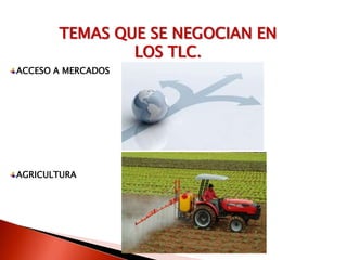 TEMAS QUE SE NEGOCIAN EN
               LOS TLC.
ACCESO A MERCADOS




AGRICULTURA
 