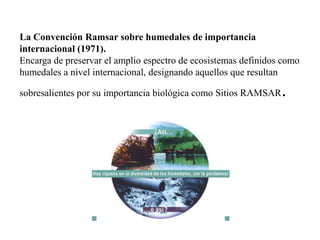 Entre los ejemplos más importantes se encuentran:La Convención Internacional para la Prevención de la Contaminación por Petróleo de los Mares (1954)Conjunto de resoluciones dirigidas a prevenir la contaminación de las aguas del mar por hidrocarburos mediante la adecuada descarga de los mismos por los buques petroleros matriculados en cualesquier territorio de un Estado Contratante y que una vez firmada por las partes, se vuelve obligatoria.