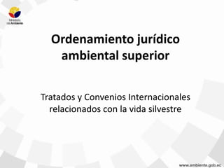 Tratados y Convenios Internacionales
relacionados con la vida silvestre
Ordenamiento jurídico
ambiental superior
 