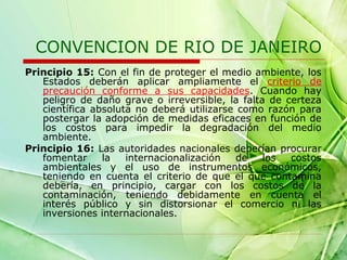 CONVENCION DE RIO DE JANEIRO
Principio 15: Con el fin de proteger el medio ambiente, los
Estados deberán aplicar ampliamente el criterio de
precaución conforme a sus capacidades. Cuando hay
peligro de daño grave o irreversible, la falta de certeza
científica absoluta no deberá utilizarse como razón para
postergar la adopción de medidas eficaces en función de
los costos para impedir la degradación del medio
ambiente.
Principio 16: Las autoridades nacionales deberían procurar
fomentar
la
internacionalización
de
los
costos
ambientales y el uso de instrumentos económicos,
teniendo en cuenta el criterio de que el que contamina
debería, en principio, cargar con los costos de la
contaminación, teniendo debidamente en cuenta el
interés público y sin distorsionar el comercio ni las
inversiones internacionales.

 