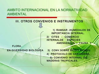 AMBITO INTERNACIONAL EN LA NORMATIVIDAD
AMBIENTAL
III. OTROS CONVENIOS E INSTRUMENTOS
1) RAMSAR -HUMEDALES DE
IMPORTANCIA INTERNAL.

FLORA.
EN DIVERSIDAD BIOLÓGICA

2) CITES - COMERCIO
INTERNALDE
ESPECIES
AMENAZADAS - FAUNA Y
3) CONV.SOBRE BIODIV.BIOLOG.
4) PROTOCOLO DE CARTAGENA.
5) CONVENIO INTERNAL DE
MADERAS TROPICALES.

 