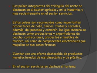  Los países integrantes del triángulo del norte se 
destacan en el sector agrícola y en la industria, y 
más recientemente en el sector servicios. 
 Estos países son reconocidos como importantes 
productores de café, azúcar, frutas y cereales, 
además, del pescado y camarón. De igual manera se 
destacan como productores y exportadores de 
caucho, confecciones, productos y muebles de 
madera, así como de componentes electrónicos que 
maquilan en sus zonas francas. 
 Cuentan con una oferta destacable de productos 
manufacturados de metalmecánica y de plástico. 
 En el sector servicios se destaca el turismo. 
 
