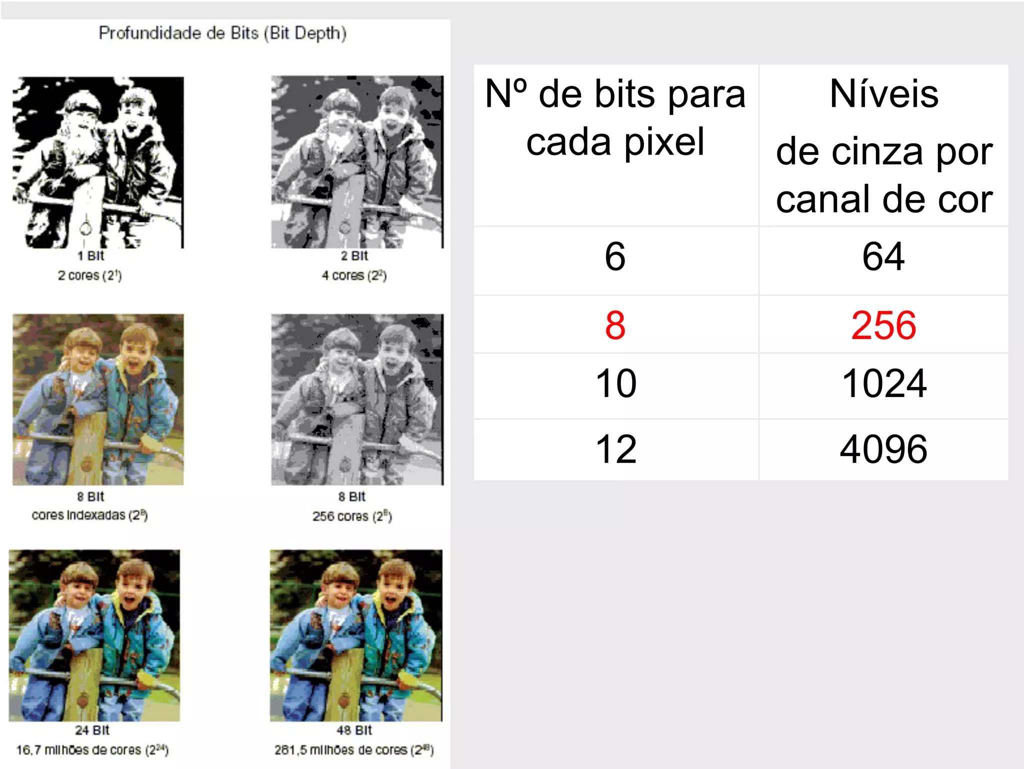 Nº de bits para    Níveis
  cada pixel    de cinza por
                canal de cor
      6              64
       8            256
      10           1024
      12           4096
 