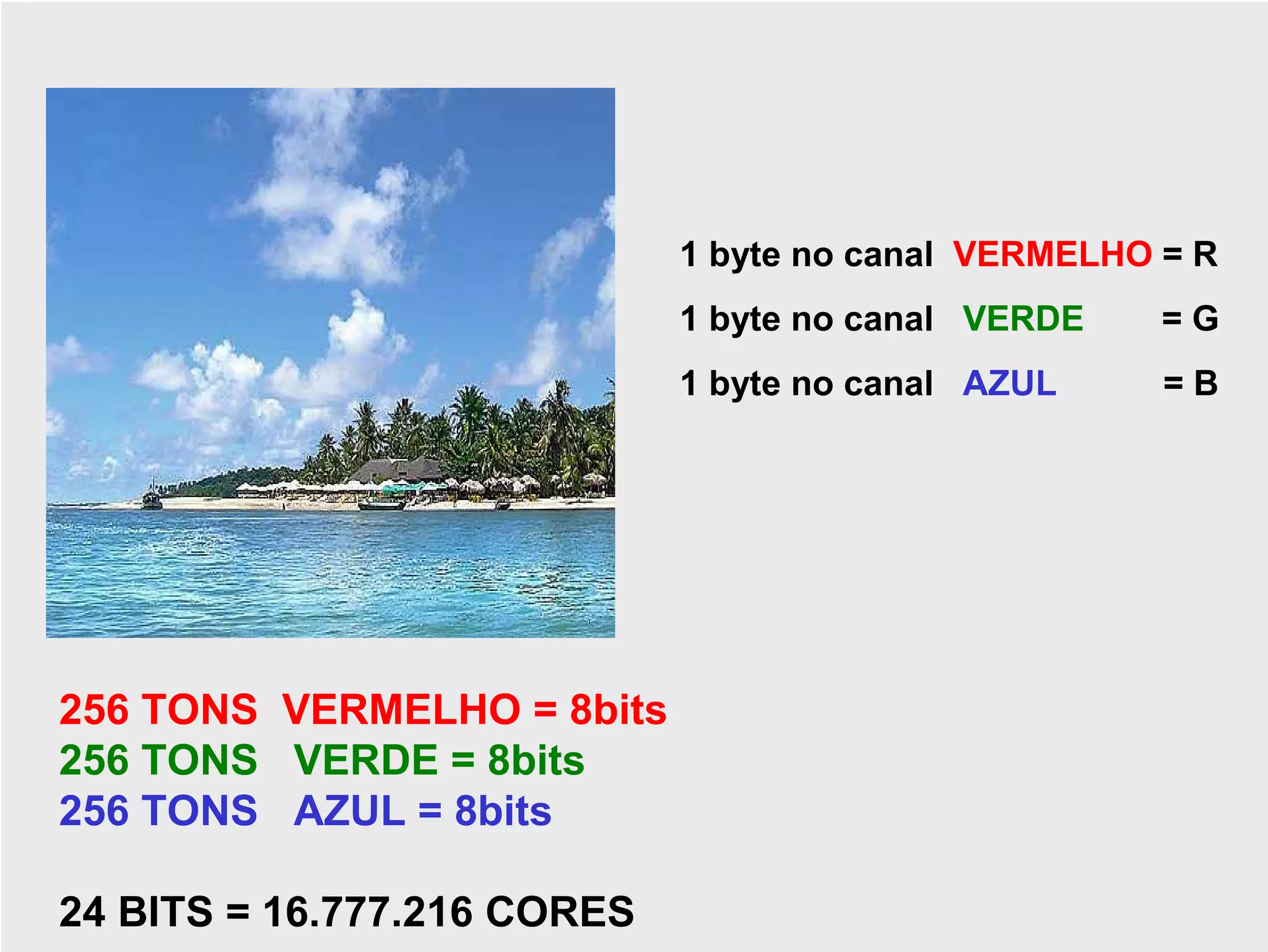 1 byte no canal VERMELHO = R
                             1 byte no canal VERDE    =G
                             1 byte no canal AZUL     =B




256 TONS VERMELHO = 8bits
256 TONS VERDE = 8bits
256 TONS AZUL = 8bits

24 BITS = 16.777.216 CORES
 