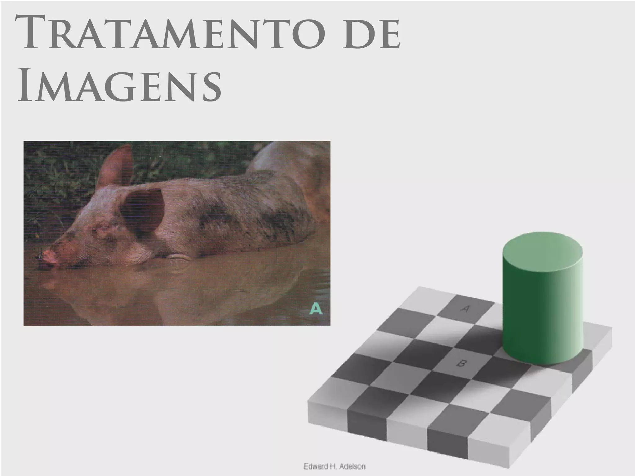 Tratamento de
Imagens
 