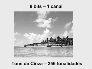 8 bits – 1 canal




Tons de Cinza – 256 tonalidades
 