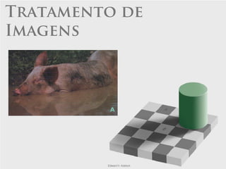 Tratamento de
Imagens
 