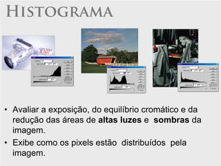 Histograma




• Avaliar a exposição, do equilíbrio cromático e da
  redução das áreas de altas luzes e sombras da
  imagem.
• Exibe como os pixels estão distribuídos pela
  imagem.
 