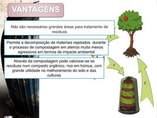 LixeirasVazadourosOUTodo o lixo produzido lançado em terrenos baldios, originando amontoados a céu abertoProblemas causadosProblemas estéticos