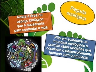 Crescimento populacionalMudança positiva do número de indivíduos de uma determinada populaçãonum certo espaço de tempo.A população mundial em 1950 era de 2,5 biliões de pessoas. Em 2000 já havia mais de 6 biliões de humanos no planeta.