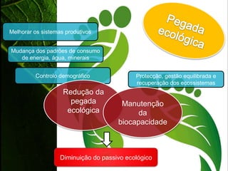 Padrão de crescimento em Portugal