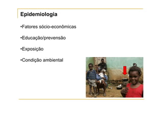 Epidemiologia

•Fatores sócio-econômicas

•Educação/prevensão

•Exposição

•Condição ambiental
 