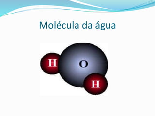 Molécula da água
 