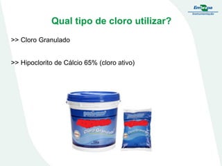 Qual tipo de cloro utilizar?
>> Cloro Granulado
>> Hipoclorito de Cálcio 65% (cloro ativo)

 