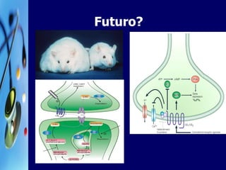 Futuro? 