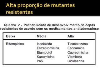 Alta proporção de mutantes resistentes