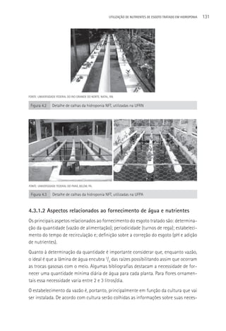 UTILIzAçãO DE NUTRIENTES DE ESGOTO TRATADO EM HIDROPONIA   131




FONTE: UNIVERSIDADE FEDERAL DO RIO GRANDE DO NORTE, NATAL, RN.


 Figura 4.2      Detalhe de calhas da hidroponia NFT, utilizadas na UFRN




FONTE: UNIVERSIDADE FEDERAL DO PARá, BELéM, PA.

 Figura 4.3      Detalhe de calhas da hidroponia NFT, utilizadas na UFPA


4.3.1.2 Aspectos relacionados ao fornecimento de água e nutrientes
Os principais aspetos relacionados ao fornecimento do esgoto tratado são: determina-
ção da quantidade (vazão de alimentação); periodicidade (turnos de rega); estabeleci-
mento do tempo de recirculação e; definição sobre a correção do esgoto (pH e adição
de nutrientes).
Quanto à determinação da quantidade é importante considerar que, enquanto vazão,
o ideal é que a lâmina de água encubra 2/3 das raízes possibilitando assim que ocorram
as trocas gasosas com o meio. Algumas bibliografias destacam a necessidade de for-
necer uma quantidade mínima diária de água para cada planta. Para flores ornamen-
tais essa necessidade varia entre 2 e 3 litros/dia.
O estabelecimento da vazão é, portanto, principalmente em função da cultura que vai
ser instalada. De acordo com cultura serão colhidas as informações sobre suas neces-
 