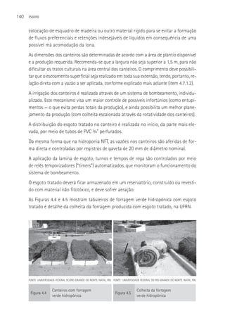 140   ESGOTO



      colocação de esquadro de madeira ou outro material rígido para se evitar a formação
      de fluxos preferenciais e retenções indesejáveis de líquidos em consequência de uma
      possível má acomodação da lona.
      As dimensões dos canteiros são determinadas de acordo com a área de plantio disponível
      e a produção requerida. Recomenda-se que a largura não seja superior a 1,5 m, para não
      dificultar os tratos culturais na área central dos canteiros. O comprimento deve possibili-
      tar que o escoamento superficial seja realizado em toda sua extensão, tendo, portanto, re-
      lação direta com a vazão a ser aplicada, conforme explicado mais adiante (item 4.7.1.2).
      A irrigação dos canteiros é realizada através de um sistema de bombeamento, individu-
      alizado. Este mecanismo visa um maior controle de possíveis infortúnios (como entupi-
      mentos — o que evita perdas totais da produção), e ainda possibilita um melhor plane-
      jamento da produção (com colheita escalonada através da rotatividade dos canteiros).
      A distribuição do esgoto tratado no canteiro é realizada no início, da parte mais ele-
      vada, por meio de tubos de PVC ¾” perfurados.
      Da mesma forma que na hidroponia NFT, as vazões nos canteiros são aferidas de for-
      ma direta e controladas por registros de gaveta de 20 mm de diâmetro nominal.
      A aplicação da lamina de esgoto, turnos e tempos de rega são controlados por meio
      de relés temporizadores (“timers”) automatizados, que monitoram o funcionamento do
      sistema de bombeamento.
      O esgoto tratado deverá ficar armazenado em um reservatório, construído ou revesti-
      do com material não fitotóxico, e deve sofrer aeração.
      As Figuras 4.4 e 4.5 mostram tabuleiros de forragem verde hidropônica com esgoto
      tratado e detalhe da colheita da forragem produzida com esgoto tratado, na UFRN.




      FONTE: UNIVERSIDADE FEDERAL DO RIO GRANDE DO NORTE, NATAL, RN. FONTE: UNIVERSIDADE FEDERAL DO RIO GRANDE DO NORTE, NATAL, RN.


                       Canteiros com forragem                                         Colheita da forragem
       Figura 4.4                                                     Figura 4.5
                       verde hidropônica                                              verde hidropônica
 