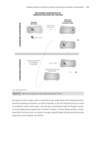 REMOçãO BIOLÓGICA DE FÓSFORO NO SISTEMA DE LODO ATIVADO: MECANISMOS E CONFIGURAçÕES   235




FONTE: VON SPERLING (2002).

 Figura 7.2       Mecanismo esquemático da remoção biológica de fósforo


Em quarto e último lugar, como o crescimento dos organismos poli-P depende direta-
mente da presença de acetato no reator anaeróbio, é de vital importância que se evite
a entrada de nitrato neste reator, uma vez que no processo de desnitrificação o aceta-
to seria oxidado pelos organismos “normais” usando o nitrato. Neste sentido, o reator
anaeróbio funciona como um seletor, criando a possibilidade de desenvolvimento dos
organismos acumuladores de fósforo.
 