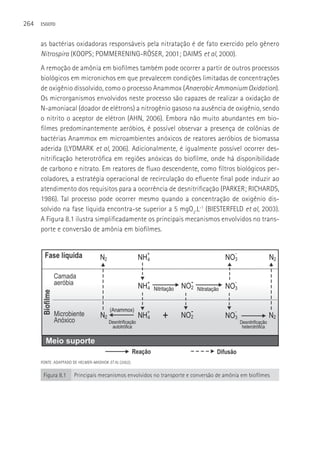 264   ESGOTO



      as bactérias oxidadoras responsáveis pela nitratação é de fato exercido pelo gênero
      Nitrospira (KOOPS; POMMERENING-RÖSER, 2001; DAIMS et al, 2000).
      A remoção de amônia em biofilmes também pode ocorrer a partir de outros processos
      biológicos em micronichos em que prevalecem condições limitadas de concentrações
      de oxigênio dissolvido, como o processo Anammox (Anaerobic Ammonium Oxidation).
      Os microrganismos envolvidos neste processo são capazes de realizar a oxidação de
      N-amoniacal (doador de elétrons) a nitrogênio gasoso na ausência de oxigênio, sendo
      o nitrito o aceptor de elétron (AHN, 2006). Embora não muito abundantes em bio-
      filmes predominantemente aeróbios, é possível observar a presença de colônias de
      bactérias Anammox em microambientes anóxicos de reatores aeróbios de biomassa
      aderida (LYDMARK et al, 2006). Adicionalmente, é igualmente possível ocorrer des-
      nitrificação heterotrófica em regiões anóxicas do biofilme, onde há disponibilidade
      de carbono e nitrato. Em reatores de fluxo descendente, como filtros biológicos per-
      coladores, a estratégia operacional de recirculação do efluente final pode induzir ao
      atendimento dos requisitos para a ocorrência de desnitrificação (PARKER; RICHARDS,
      1986). Tal processo pode ocorrer mesmo quando a concentração de oxigênio dis-
      solvido na fase líquida encontra-se superior a 5 mgO2.L-1 (BIESTERFELD et al, 2003).
      A Figura 8.1 ilustra simplificadamente os principais mecanismos envolvidos no trans-
      porte e conversão de amônia em biofilmes.




      FONTE: ADAPTADO DE HELMER-MADHOK ET AL (2002).


       Figura 8.1     Principais mecanismos envolvidos no transporte e conversão de amônia em biofilmes
 