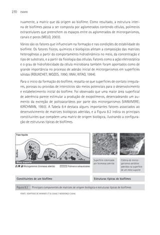 270   ESGOTO



      nuamente, a matriz que dá origem ao biofilme. Como resultado, a estrutura inter-
      na de biofilmes passa a ser composta por aglomerados contendo células, polímeros
      extracelulares que preenchem os espaços entre os aglomerados de microrganismos,
      canais e poros (MELO, 2003).
      Vários são os fatores que influenciam na formação e nas condições de estabilidade do
      biofilme. Os fatores físicos, químicos e biológicos afetam a composição das matrizes
      heterogêneas a partir do comportamento hidrodinâmico no meio, da concentração e
      tipo de substrato, e a partir da fisiologia das células. Fatores como a ação eletrostática
      e o grau de hidrofobicidade da célula microbiana também foram apontados como de
      grande importância no processo de adesão inicial de microrganismos em superfícies
      sólidas (ROUXCHET; MOZES, 1990; IWAI; KITAO, 1994).
      Para o início da formação do biofilme, ressalta-se que superfícies de contato irregula-
      res, porosas ou providas de interstícios são meios potenciais para o desenvolvimento
      e estabelecimento inicial do biofilme. Foi observado que uma maior área superficial
      de aderência parece estimular a produção de exopolímeros, desencadeando um au-
      mento da excreção de polissacarídeos por parte dos microrganismos (VANVIVERE;
      KIRCHMAN, 1993). A Tabela 8.4 destaca alguns importantes fatores associados ao
      desenvolvimento de matrizes biológicas aderidas, e a Figura 8.2 indica os principais
      constituintes que compõem uma matriz de origem biológica, ilustrando a configura-
      ção de estruturas típicas de biofilmes.




                                                                       Superfície colonizada   Colônia de micror-
                                                                       por biomassa aderida    ganismos aeróbios
                                                                                               aderidos na superfície
                                                                                               de um meio suporte


  Constituintes de um biofilme                                         Estruturas típicas de biofilmes

  Figura 8.2     Principais componentes de matrizes de origem biológica e estruturas típicas de biofilmes

      FONTE: ADAPTADO DE WANNER ET AL (2006) E MENDONçA (2004).
 