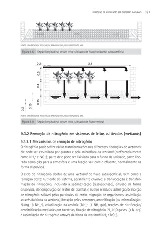 REMOçãO DE NUTRIENTES EM SISTEMAS NATURAIS   321




FONTE: UNIVERSIDADE FEDERAL DE MINAS GERAIS, BELO HORIZONTE, MG.

 Figura 9.13 Seção longitudinal de um leito cultivado de fluxo horizontal subsuperficial




FONTE: UNIVERSIDADE FEDERAL DE MINAS GERAIS, BELO HORIZONTE, MG.

 Figura 9.14 Seção longitudinal de um leito cultivado de fluxo vertical



9.3.2 Remoção de nitrogênio em sistemas de leitos cultivados (wetlands )
9.3.2.1 Mecanismos de remoção de nitrogênio
O nitrogênio pode sofrer várias transformações nas diferentes tipologias de wetlands:
ele pode ser assimilado por plantas e pela microflora da wetland (preferencialmente
como NH4+ e NO3-); parte dele pode ser lixiviada para o fundo da unidade, parte libe-
rada como gás para a atmosfera e uma fração sair com o efluente, normalmente na
forma dissolvida.
O ciclo do nitrogênio dentro de uma wetland de fluxo subsuperficial, bem como a
remoção deste nutriente do sistema, geralmente envolve: a translocação e transfor-
mação do nitrogênio, incluindo a sedimentação (ressuspensão), difusão da forma
dissolvida, decomposição de restos de plantas e outros resíduos, adsorção/dessorção
de nitrogênio solúvel pelas partículas do meio, migração de organismos, assimilação
através da biota da wetland, liberação pelas sementes, amonificação (ou mineralização:
N-org > NH4+), volatilização da amônia (NH4+ > NH3 gás), reações de nitrificação/
desnitrificação mediadas por bactérias, fixação de nitrogênio (N2, N2O gases > N-org)
e assimilação de nitrogênio através da biota da wetland (NH4 e NO3-).
 