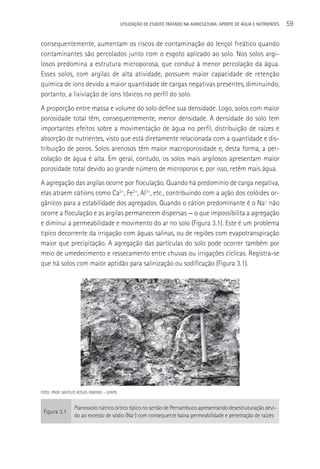 UTILIzAçãO DE ESGOTO TRATADO NA AGRICULTURA: APORTE DE áGUA E NUTRIENTES   59

consequentemente, aumentam os riscos de contaminação do lençol freático quando
contaminantes são percolados junto com o esgoto aplicado ao solo. Nos solos argi-
losos predomina a estrutura microporosa, que conduz à menor percolação da água.
Esses solos, com argilas de alta atividade, possuem maior capacidade de retenção
química de íons devido a maior quantidade de cargas negativas presentes, diminuindo,
portanto, a lixiviação de íons tóxicos no perfil do solo.
A proporção entre massa e volume do solo define sua densidade. Logo, solos com maior
porosidade total têm, consequentemente, menor densidade. A densidade do solo tem
importantes efeitos sobre a movimentação de água no perfil, distribuição de raízes e
absorção de nutrientes, visto que está diretamente relacionada com a quantidade e dis-
tribuição de poros. Solos arenosos têm maior macroporosidade e, desta forma, a per-
colação de água é alta. Em geral, contudo, os solos mais argilosos apresentam maior
porosidade total devido ao grande número de microporos e, por isso, retêm mais água.
A agregação das argilas ocorre por floculação. Quando há predomínio de carga negativa,
elas atraem cátions como Ca2+, Fe2+, Al3+, etc., contribuindo com a ação dos colóides or-
gânicos para a estabilidade dos agregados. Quando o cátion predominante é o Na+ não
ocorre a floculação e as argilas permanecem dispersas — o que impossibilita a agregação
e diminui a permeabilidade e movimento do ar no solo (Figura 3.1). Este é um problema
típico decorrente da irrigação com águas salinas, ou de regiões com evapotranspiração
maior que precipitação. A agregação das partículas do solo pode ocorrer também por
meio de umedecimento e ressecamento entre chuvas ou irrigações cíclicas. Registra-se
que há solos com maior aptidão para salinização ou sodificação (Figura 3.1).




FOTO: PROF. MATEUS ROSAS RIBEIRO – UFRPE.


                 Planossolo nátrico órtico típico no sertão de Pernambuco apresentando desestruturação devi-
 Figura 3.1
                 do ao excesso de sódio (Na+) com consequente baixa permeabilidade e penetração de raízes
 