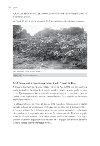 76   ESGOTO



     N, P, MO, pH e CE. Controlou-se, também, a produtividade e a quantidade de óleo a ser
     extraído das plantas.
     Na Figura 3.3 apresenta-se uma vista do desenvolvimento da cultura de mamona.




     FONTE: UNIVERSIDADE FEDERAL DO CEARá. AQUIRAZ, CE.


      Figura 3.3      Cultura de Mamona



     3.5.2 Pesquisa desenvolvida na Universidade Federal do Pará
     A pesquisa desenvolvida na Universidade Federal do Pará (UFPA) teve por objetivo a
     avaliação do efeito da utilização de esgoto sanitário tratado na fertirrigação de plan-
     tas de Alpinia purpurata, tanto avaliando seu aproveitamento, como visando a redu-
     ção dos custos de produção, a melhoria da qualidade das flores tropicais e a diminuição
     da poluição ambiental.
     Foi utilizado efluente de reator aeróbio de leito expandido, como água de irrigação,
     aplicado às flores por gotejamento controlado por tensiômetros. O delineamento ex-
     perimental utilizado foi o de blocos ao acaso, com quatro tratamentos e três repeti-
     ções, totalizando doze parcelas experimentais. Os tratamentos são: T1 — sem irrigação
     e com fertilizantes minerais; T2 — irrigação com fertilizantes minerais; T3 — irriga-
     ção com efluente de esgoto sanitário tratado e T4 — irrigação com efluente de esgoto
     sanitário tratado e complementação mineral.
 