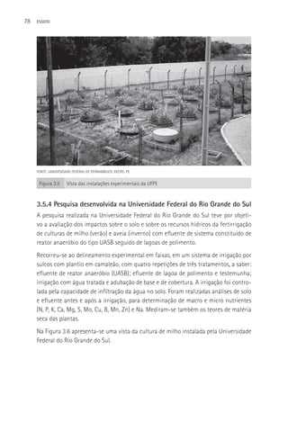 78   ESGOTO




     FONTE: UNIVERSIDADE FEDERAL DE PERNAMBUCO. RECIFE, PE.


      Figura 3.5      Vista das instalações experimentais da UFPE


     3.5.4 Pesquisa desenvolvida na Universidade Federal do Rio Grande do Sul
     A pesquisa realizada na Universidade Federal do Rio Grande do Sul teve por objeti-
     vo a avaliação dos impactos sobre o solo e sobre os recursos hídricos da fertirrigação
     de culturas de milho (verão) e aveia (inverno) com efluente de sistema constituído de
     reator anaeróbio do tipo UASB seguido de lagoas de polimento.
     Recorreu-se ao delineamento experimental em faixas, em um sistema de irrigação por
     sulcos com plantio em camaleão, com quatro repetições de três tratamentos, a saber:
     efluente de reator anaeróbio (UASB); efluente de lagoa de polimento e testemunha;
     irrigação com água tratada e adubação de base e de cobertura. A irrigação foi contro-
     lada pela capacidade de infiltração da água no solo. Foram realizadas análises de solo
     e efluente antes e após a irrigação, para determinação de macro e micro nutrientes
     (N, P, K, Ca, Mg, S, Mo, Cu, B, Mn, Zn) e Na. Mediram-se também os teores de matéria
     seca das plantas.
     Na Figura 3.6 apresenta-se uma vista da cultura de milho instalada pela Universidade
     Federal do Rio Grande do Sul.
 