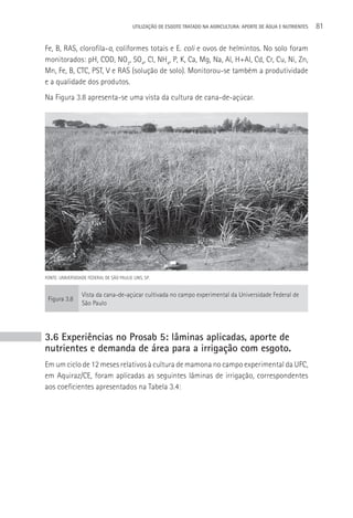 UTILIzAçãO DE ESGOTO TRATADO NA AGRICULTURA: APORTE DE áGUA E NUTRIENTES   81

Fe, B, RAS, clorofila-a, coliformes totais e E. coli e ovos de helmintos. No solo foram
monitorados: pH, COD, NO3, SO4, Cl, NH4, P, K, Ca, Mg, Na, Al, H+Al, Cd, Cr, Cu, Ni, Zn,
Mn, Fe, B, CTC, PST, V e RAS (solução de solo). Monitorou-se também a produtividade
e a qualidade dos produtos.
Na Figura 3.8 apresenta-se uma vista da cultura de cana-de-açúcar.




FONTE: UNIVERSIDADE FEDERAL DE SãO PAULO. LINS, SP.


                  Vista da cana-de-açúcar cultivada no campo experimental da Universidade Federal de
 Figura 3.8
                  São Paulo




3.6 Experiências no Prosab 5: lâminas aplicadas, aporte de
nutrientes e demanda de área para a irrigação com esgoto.
Em um ciclo de 12 meses relativos à cultura de mamona no campo experimental da UFC,
em Aquiraz/CE, foram aplicadas as seguintes lâminas de irrigação, correspondentes
aos coeficientes apresentados na Tabela 3.4:
 